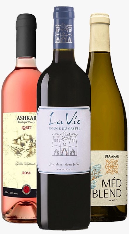 שלישיית ישראלים VFM